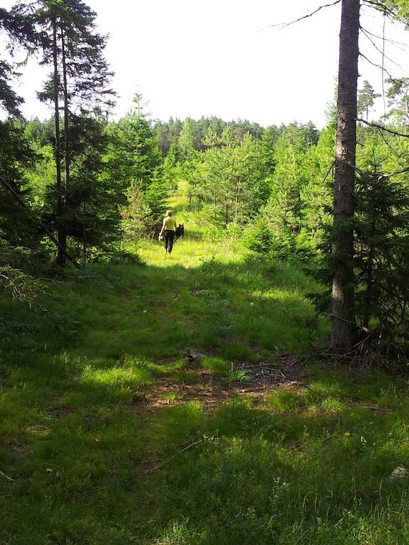 Maenniste Holiday Home Hiievalja Habitación foto